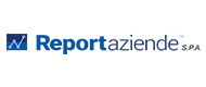 ReportAziende